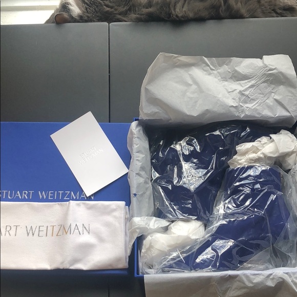 Stuart Weitzman Pyramid Maritime Suede Blue Bootie - Picture 3 of 6